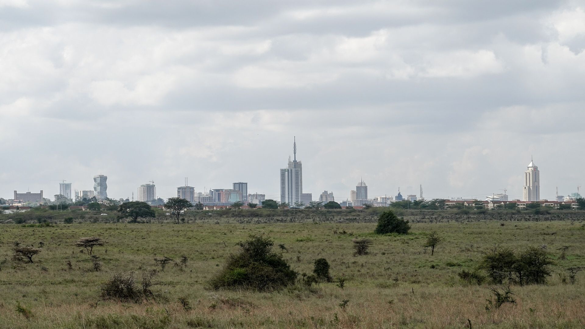 Nairobi skyline seen across the savannah of Nairobi National Park
